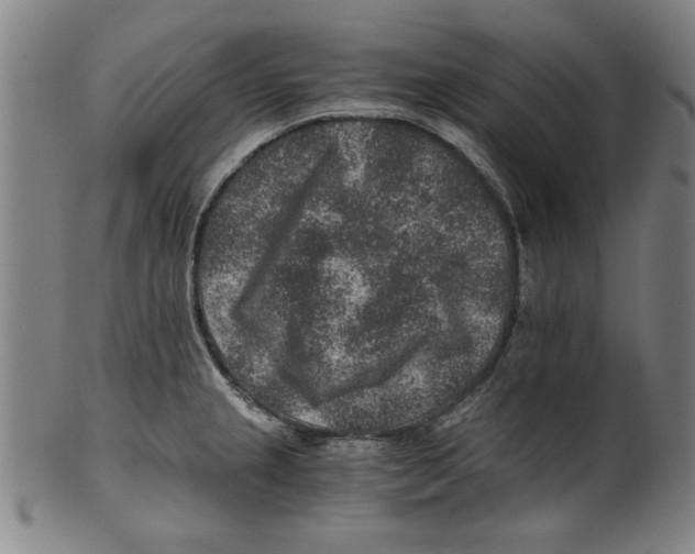 X0000100901237200807220944