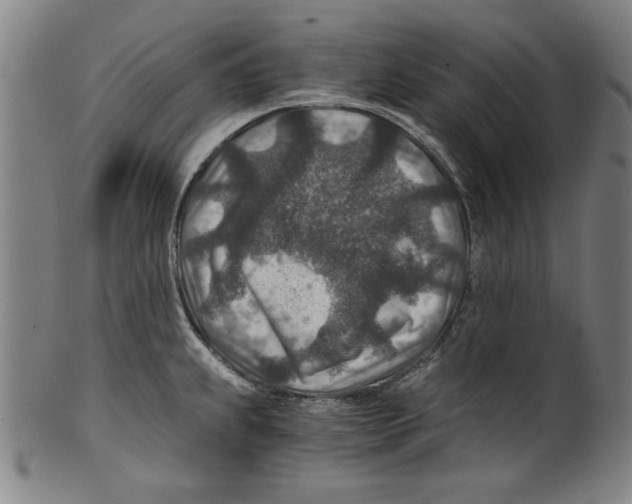 X0000100901239200807220944