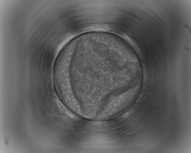 X0000100901240200807220944