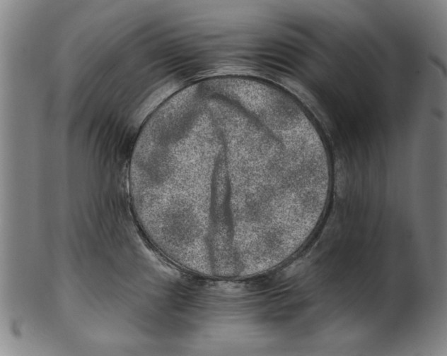 X0000100901241200807220944