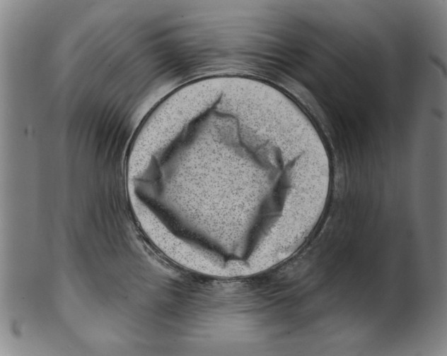 X0000100901242200807220944