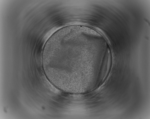 X0000100901244200807220944