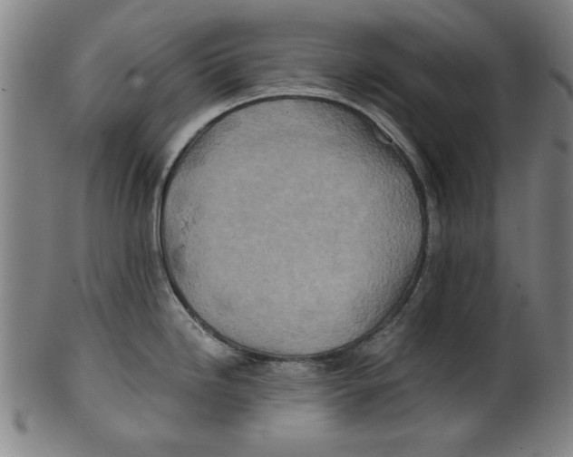 X0000100901246200807220944