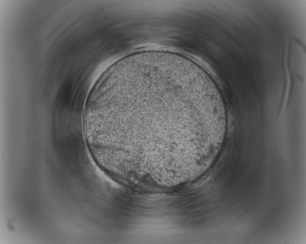 X0000100901247200807220944