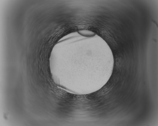 X0000100901249200807220943