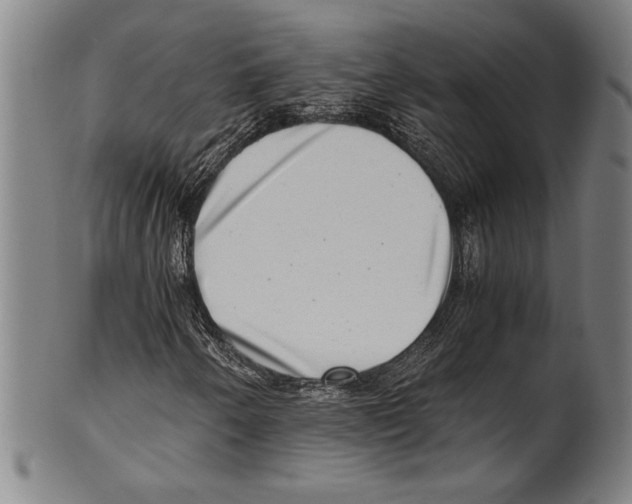 X0000100901250200807220943