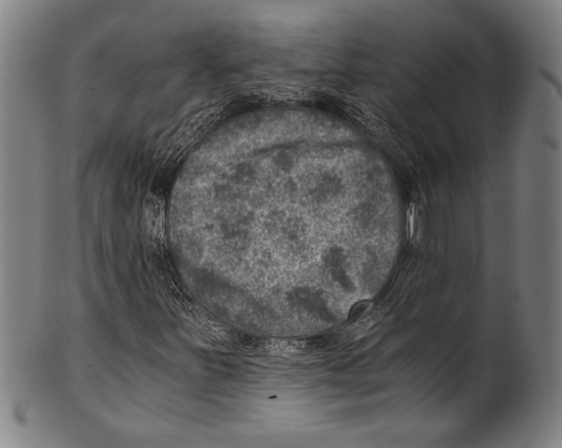 X0000100901251200807220943