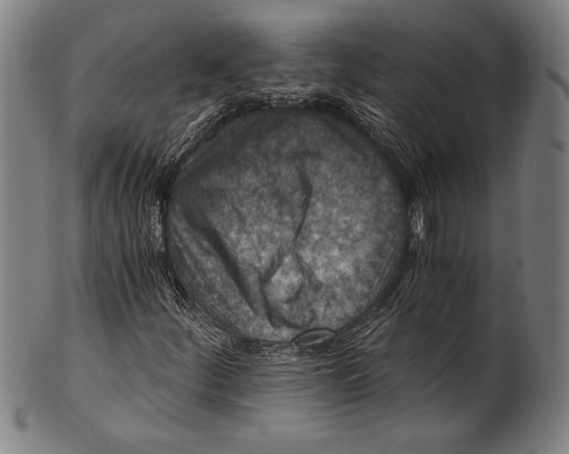 X0000100901252200807220943