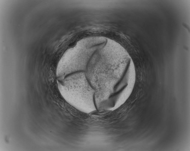 X0000100901253200807220943