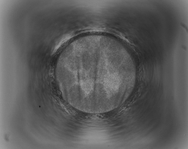 X0000100901255200807220943