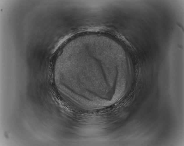 X0000100901256200807220943