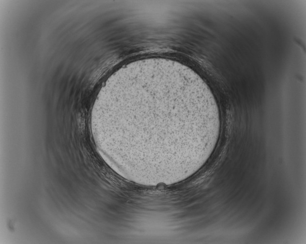 X0000100901257200807220943