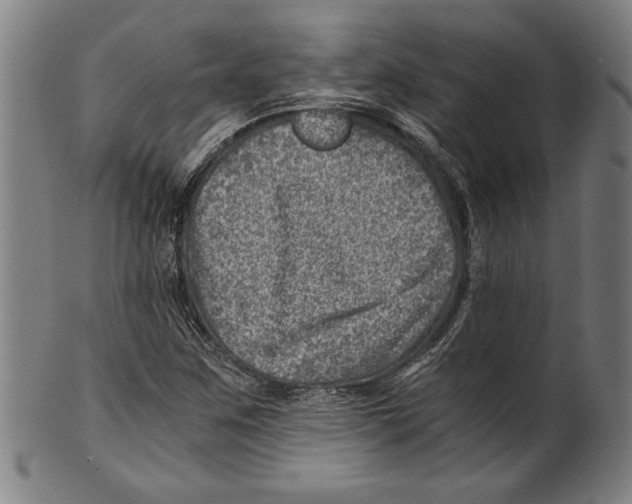 X0000100901259200807220943