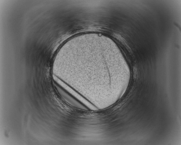 X0000100901260200807220943