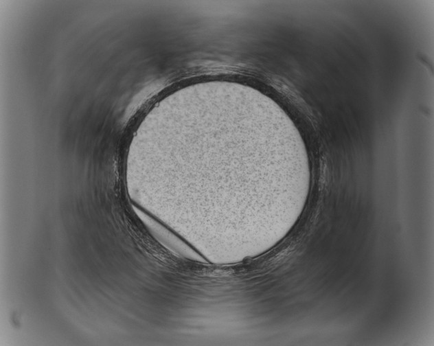 X0000100901261200807220943