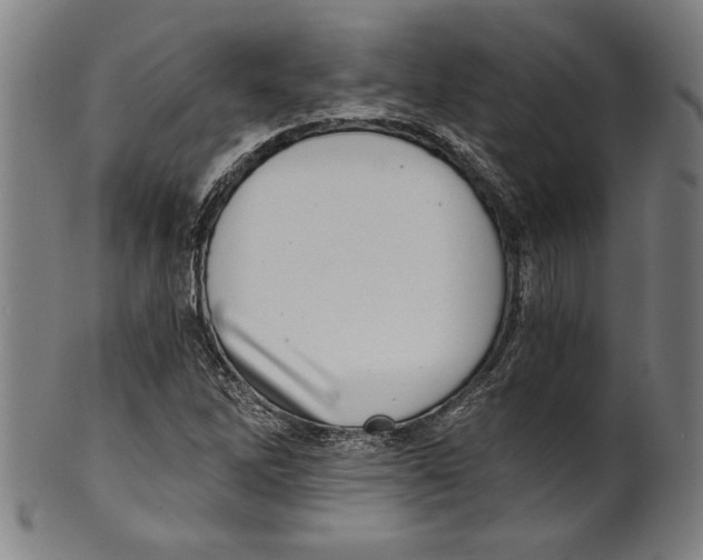 X0000100901262200807220943