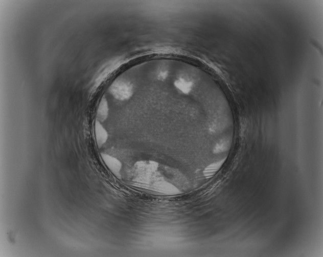 X0000100901263200807220943