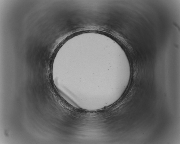 X0000100901264200807220943