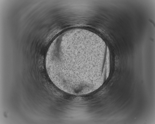 X0000100901265200807220943