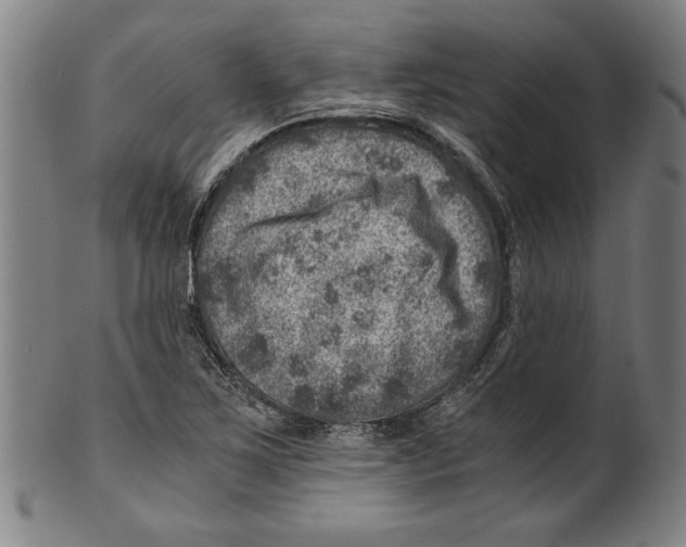 X0000100901267200807220943