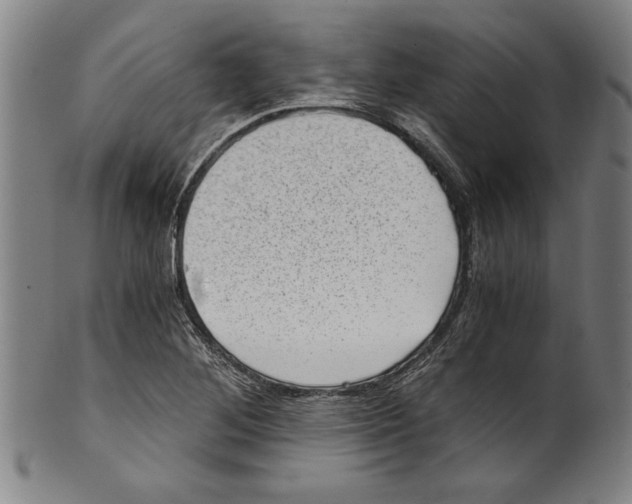 X0000100901268200807220943