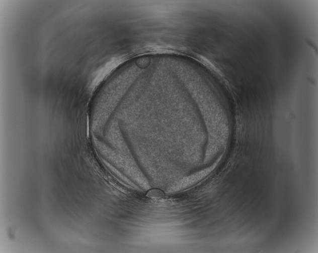 X0000100901269200807220943