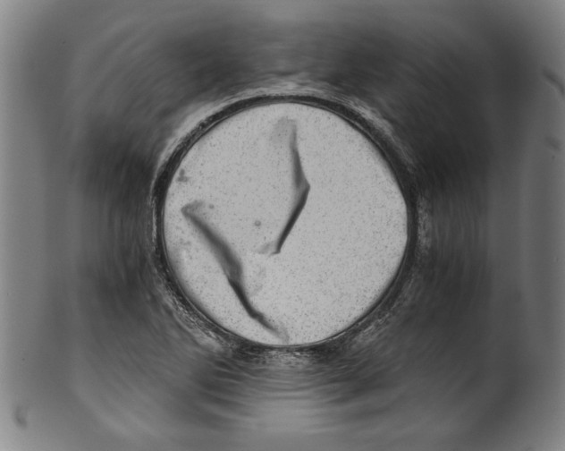 X0000100901270200807220943