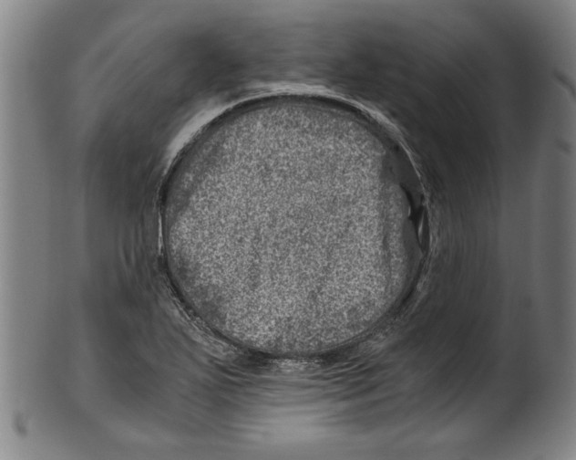 X0000100901271200807220943