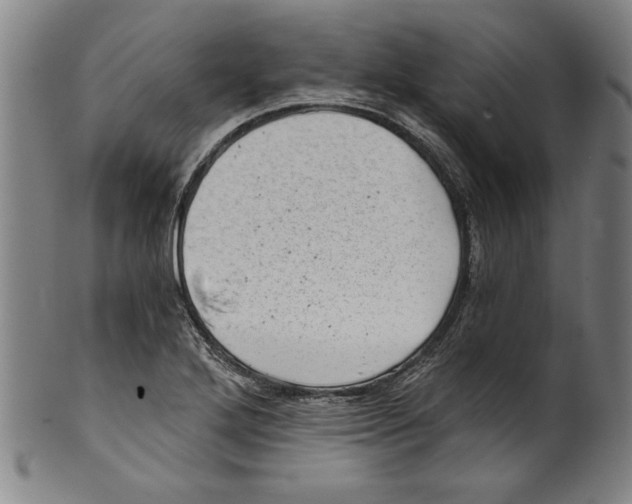 X0000100901272200807220943