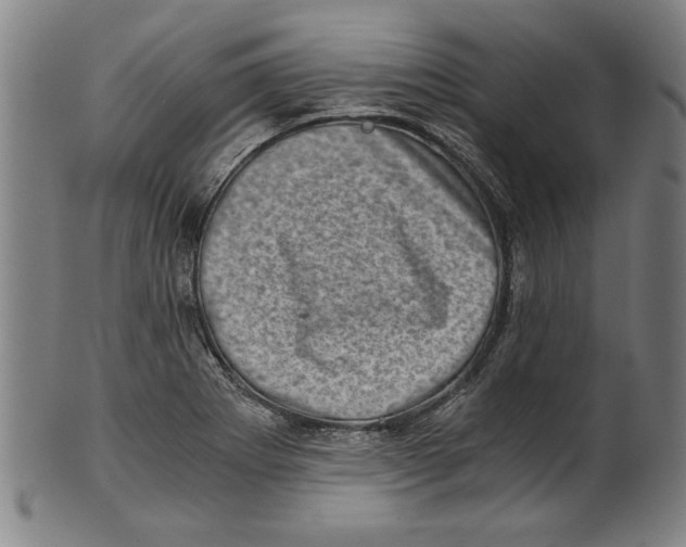 X0000100901273200807220943