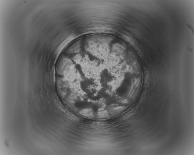 X0000100901275200807220943