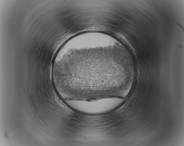 X0000100901276200807220943