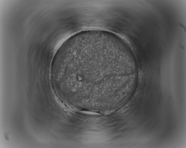 X0000100901279200807220943