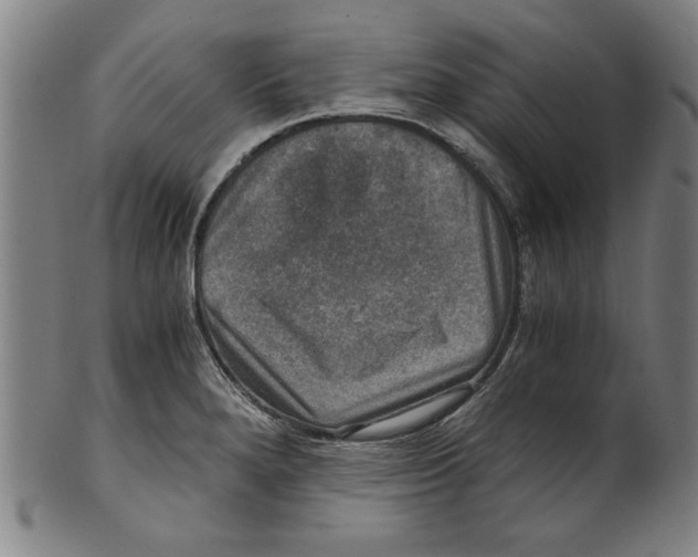 X0000100901280200807220943