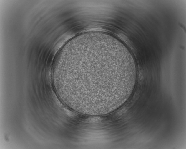 X0000100901282200807220943