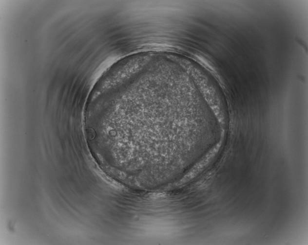 X0000100901283200807220943