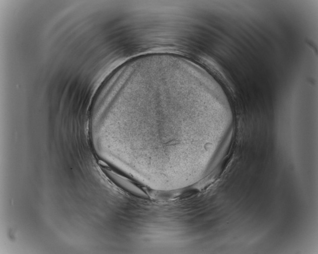 X0000100901284200807220943