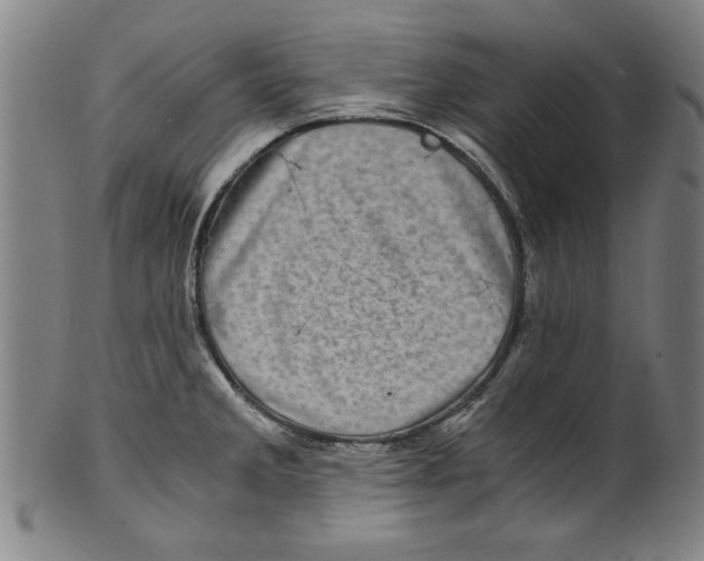 X0000100901285200807220943