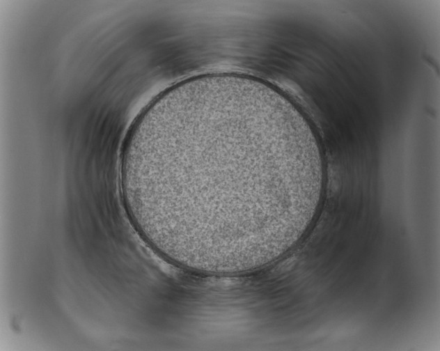 X0000100901286200807220943