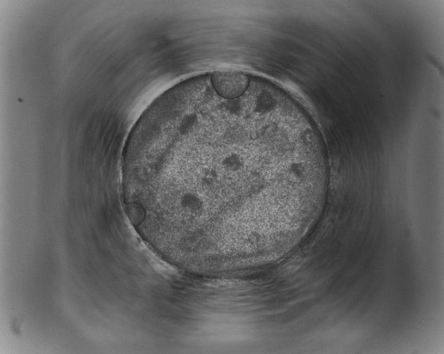 X0000100901287200807220943