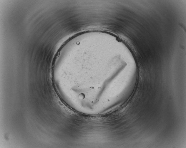 X0000100901288200807220943