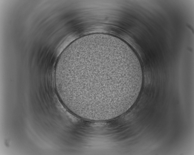 X0000100901290200807220943