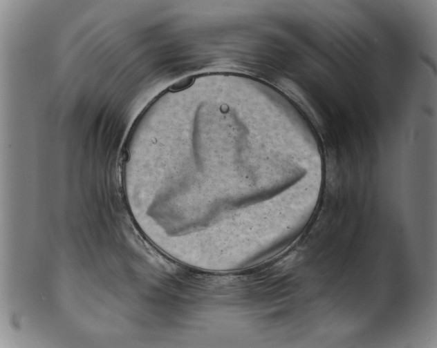 X0000100901292200807220943