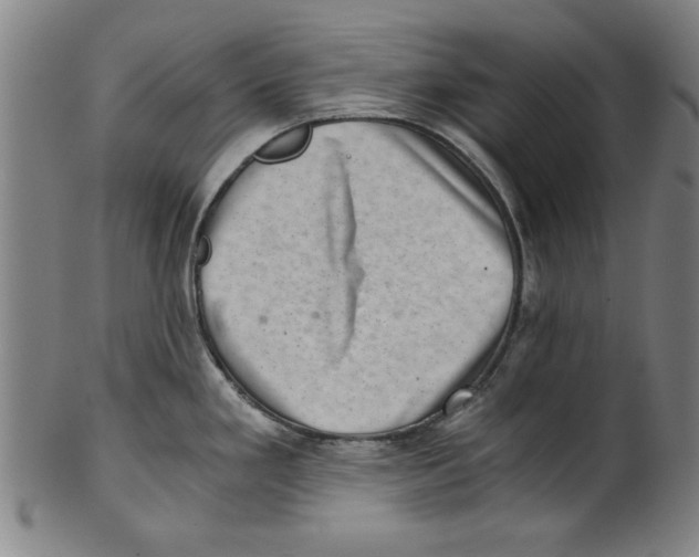 X0000100901293200807220943