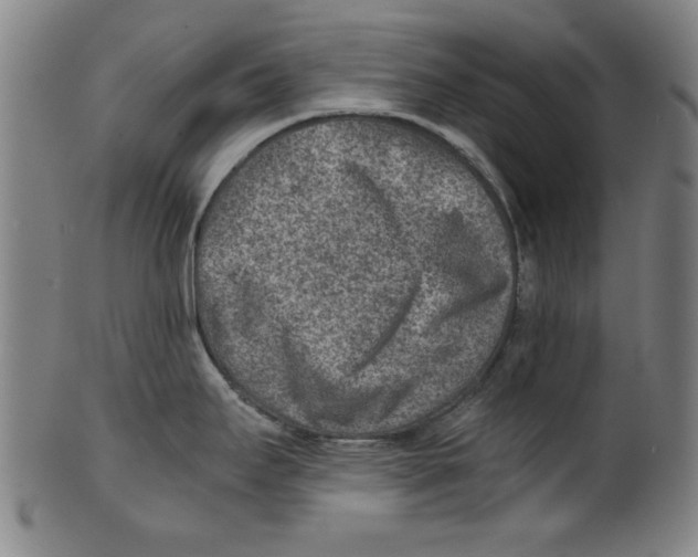 X0000100901295200807220942