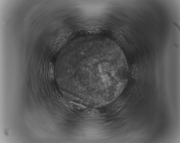 X0000100901298200807220942