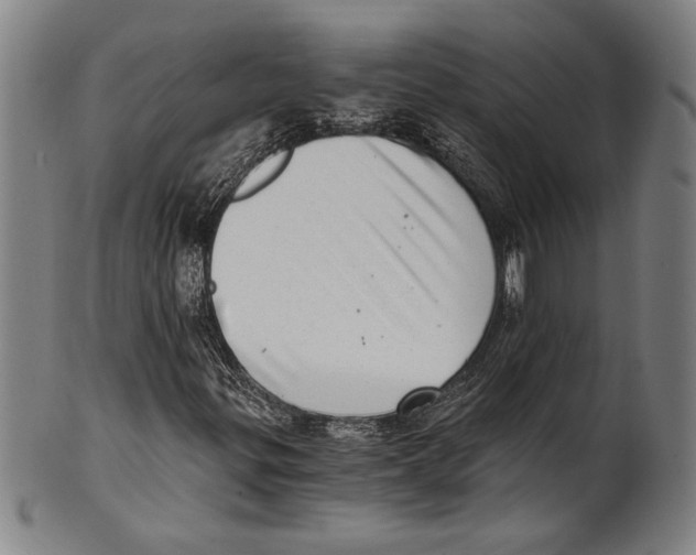 X0000100901299200807220942