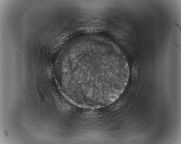 X0000100901300200807220942