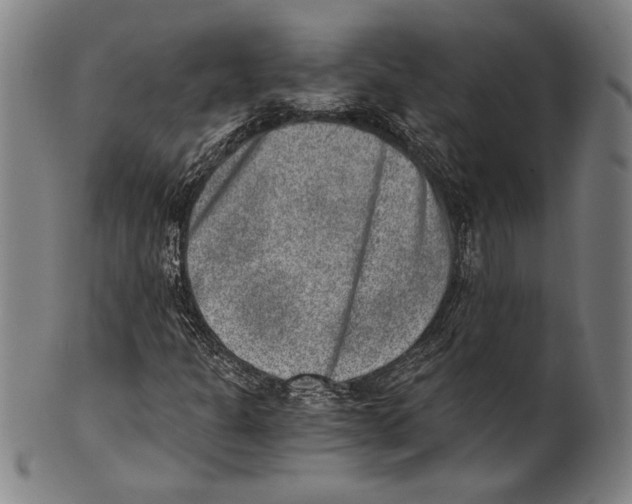 X0000100901301200807220942