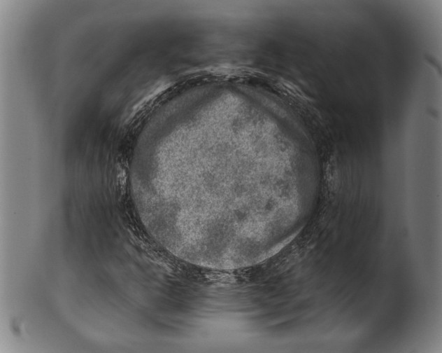 X0000100901302200807220942